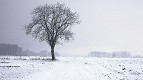 Primeira onda de frio de 2022 pode prejudicar a economia?